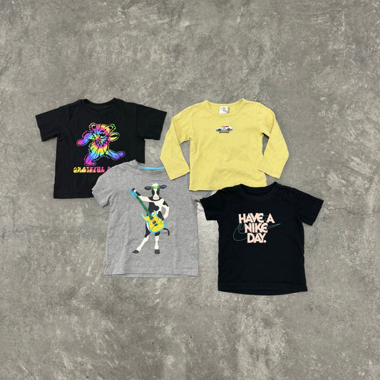 Boys Graphic Tee Bundle 3T